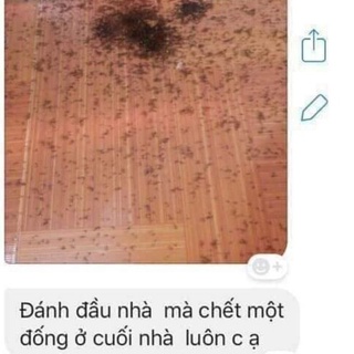 Thuốc diệt kiến gián tận gốc combo 10 lọ