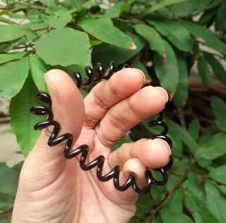 5 Cột tóc lò xo size nhỏ 3cm đủ màu