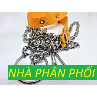dây xích inox chó con,mèo