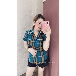 Áo sơ mi kẻ xanh
