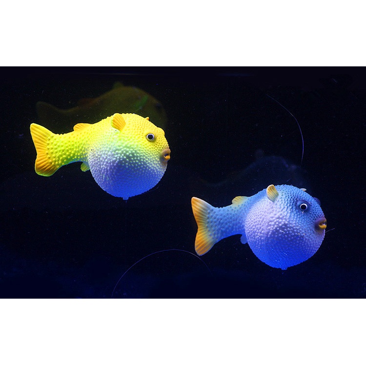 Cá Giả Phát Sáng Nhiều Màu Trang Trí Bể Cá