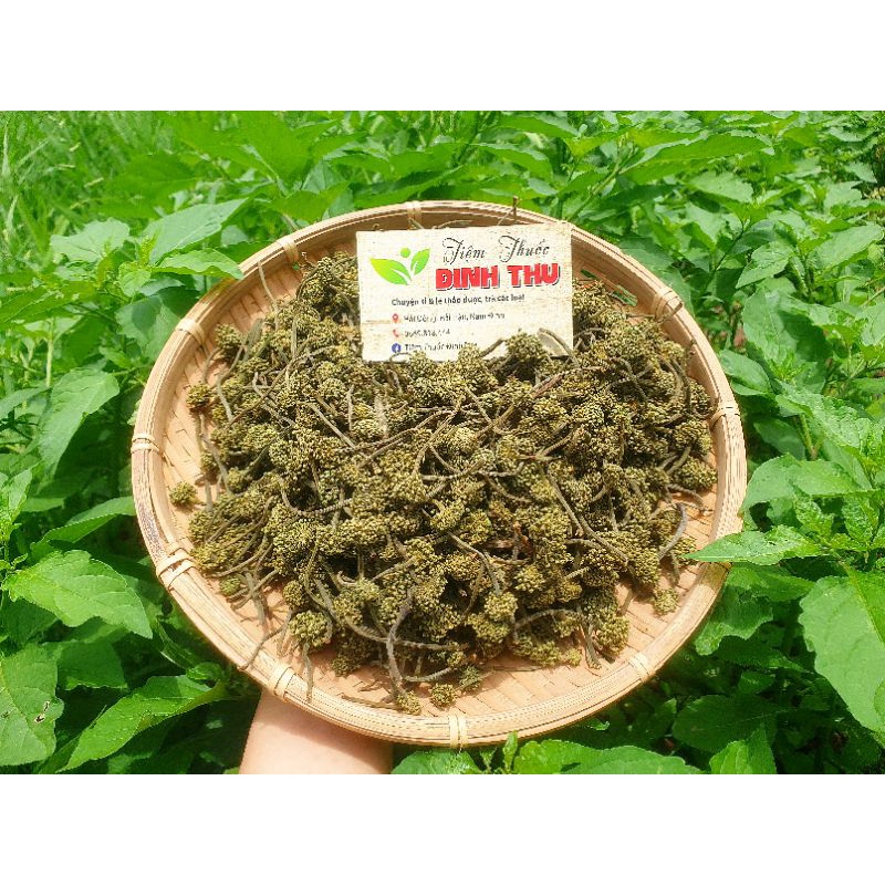 Nụ Hoa Tam Thất Khô (Ảnh Thật 100%)