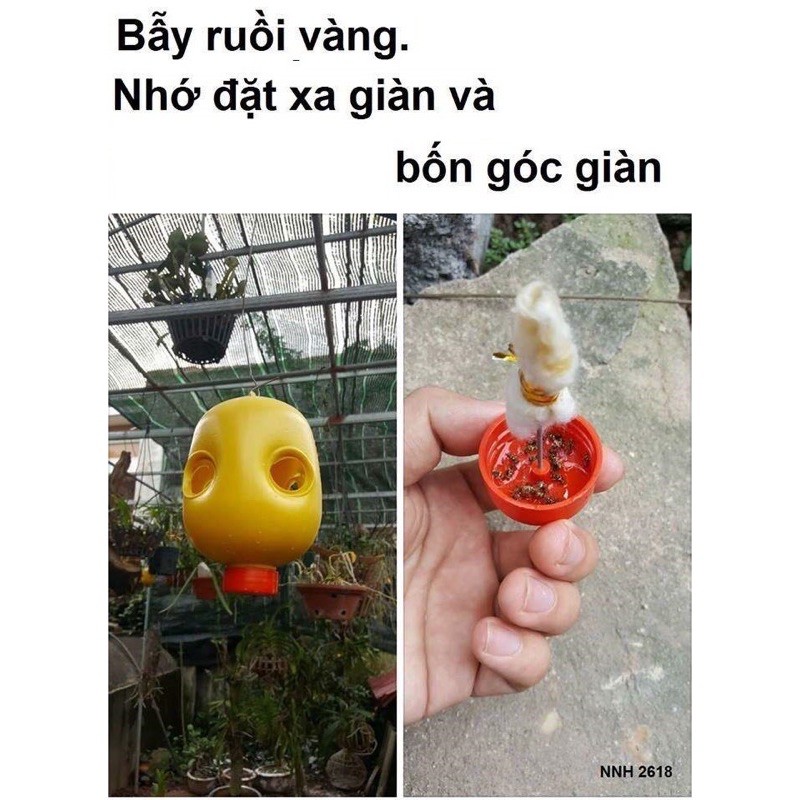 Thuốc dẫn dụ diệt ruồi vàng đục trái, gây hại trái cây (Tặng kèm lồng bẫy ruồi) ☘️