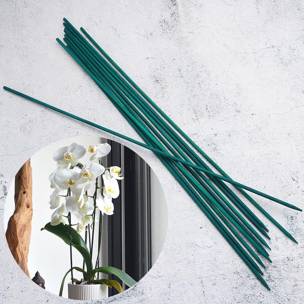Set 10 / 30 Cây Gậy Trang Trí Sân Vườn|Cây Xanh Hỗ Trợ Trồng Cây Xanh