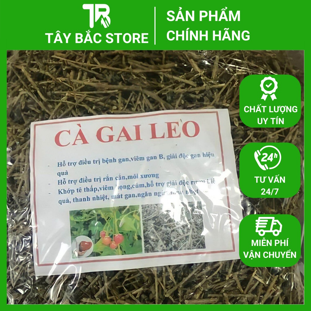 Cà Gai Leo Khô Túi 1Kg  Bổ Gan, Hạ Men Gan Hỗ Trợ Giải Độc Gan