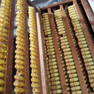500g sữa ong chúa tươi