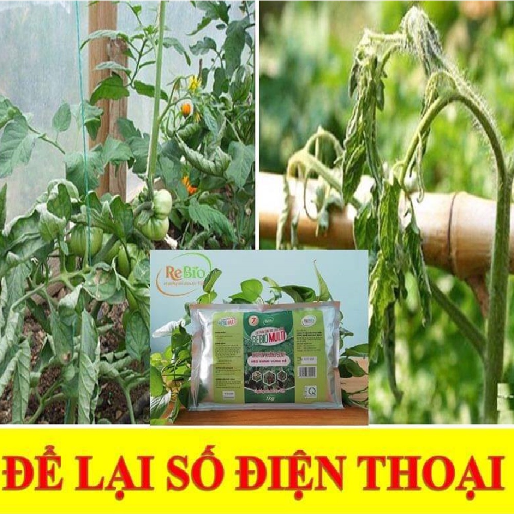 💥CHÍNH HÃNG💥REBIO- Multi 7 chai 500ml Chuyên trị héo xanh vùng rễ