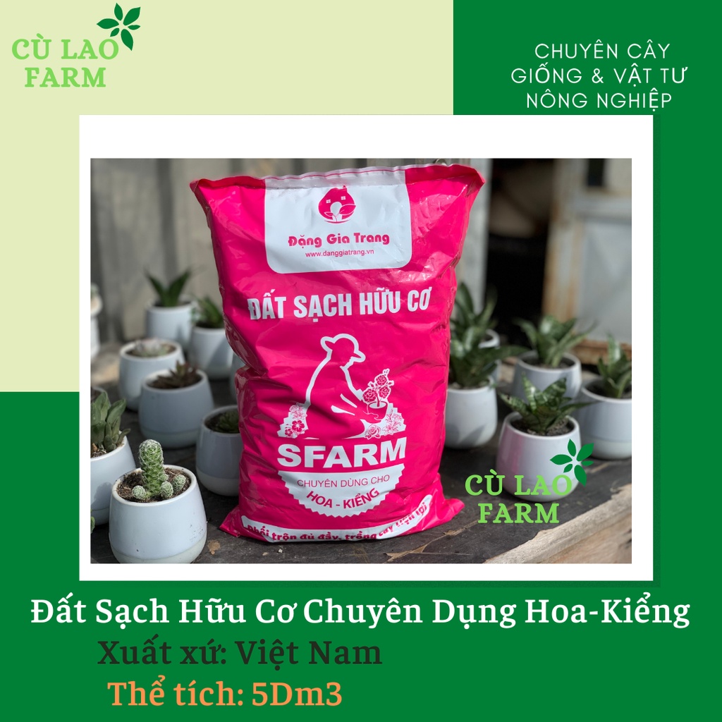 Đất Sạch Trồng Hoa Và Cây Kiểng Sfarm - Đặng Gia Trang 5dm3