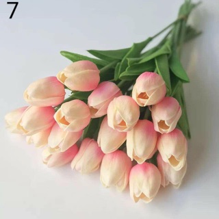 hoa chưng tết