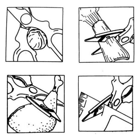 Kéo Đa Năng Cán Đỏ