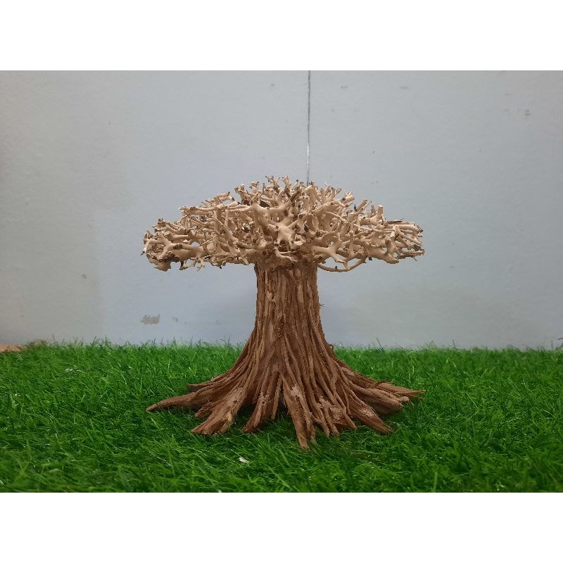 Lũa Cổ Thụ nấm cấy rêu.