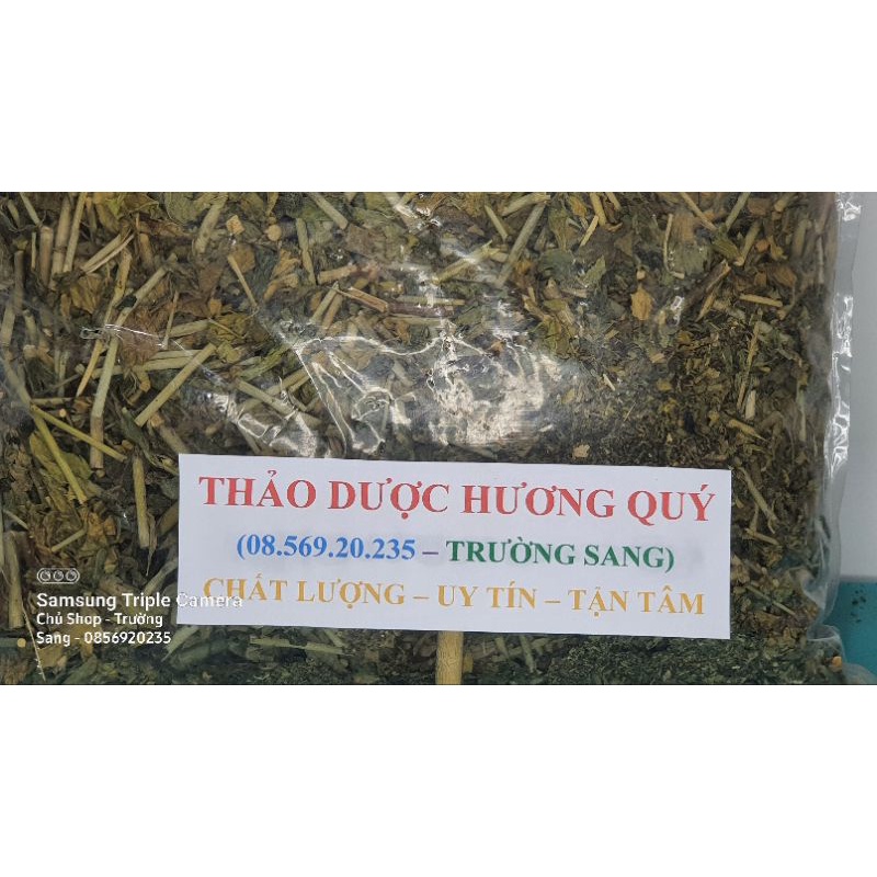 1kg Cây Xương Khỉ (Cam Kết Khô, Sạch, Mới)