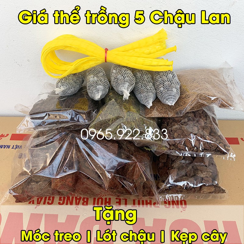 5 Chậu giá thể Trồng Lan đầy đủ Tặng Quà móc treo, túi lưới, kẹp cây