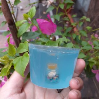 Basic slime và clear slime giá rẻ