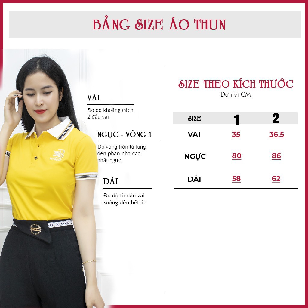 Áo thun có cổ nữ AMYRA, phông trơn cotton cao cấp mềm mịn phối viền tay ngắn thêu chữ kiểu thể thao công sở AT17