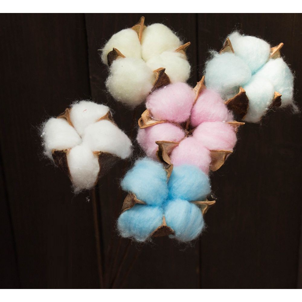 CÀNH BÔNG GÒN COTTON TỰ NHIÊN DECOR TRANG TRÍ, GÓI HOA, ĐẠO CỤ CHỤP HÌNH HOA KHÔ