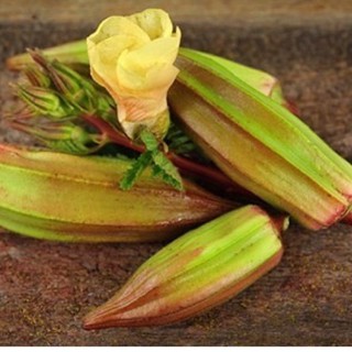 Hạt giống Đậu bắp alabama đỏ F1 NK Mỹ - Gói 15 Hạt - Nảy 95%