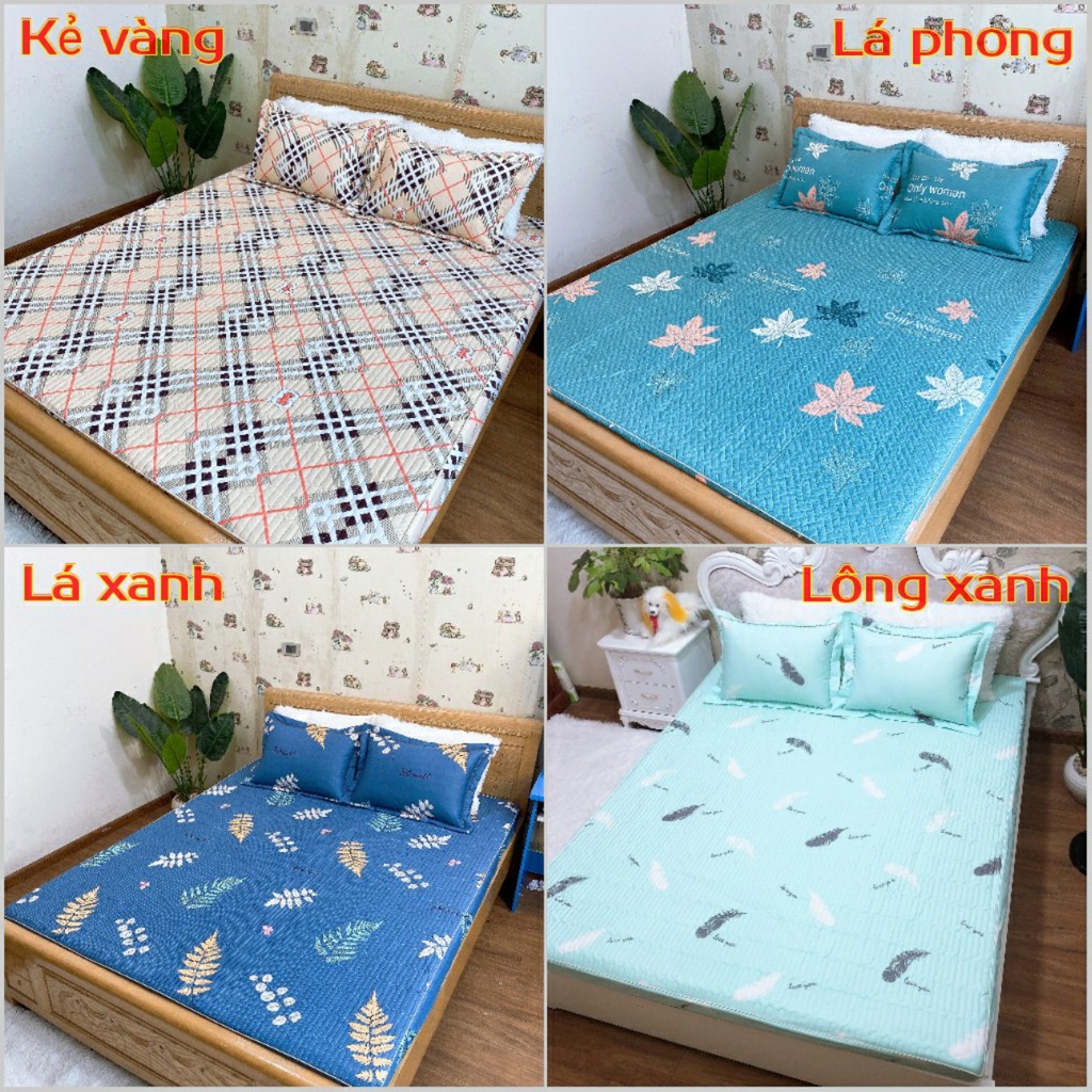Bộ ga chun trần bông và 2 vỏ gối, ga giường cotton 100% đủ size nệm 1m2 1m4 1m6 1m8 2m2 Dreamhomedding | BigBuy360 - bigbuy360.vn