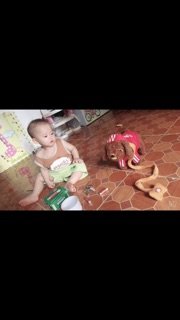 Chó biết hát tiếng việt