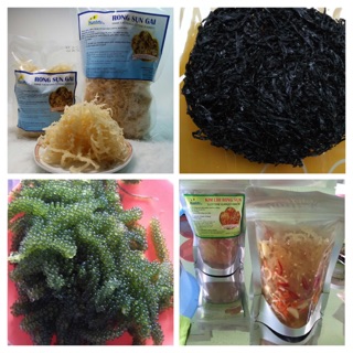 Combo 1kg rong sụn, 1 kg rong nho, 100g rong biển, 2 gói kim chi rong sụn
