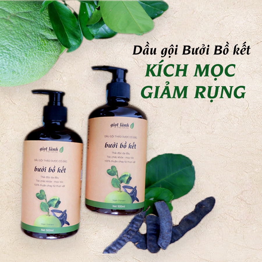 Bộ dầu gội đầu bồ kết, dầu xả, xịt dưỡng tóc, tinh dầu bưởi nguyên chất 4 món giảm rụng, tái tạo tóc hư tổn Giọt Lành
