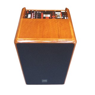 Loa kẹo kéo karaoke bluetooth Sansui SG10-12