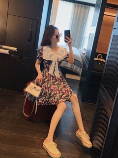 ĐẦM HOA TÍM - VÀNG - XANH CỔ BÈO