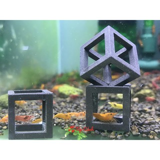 Đồ chơi cho tép cảnh dạng hình vuông cubic