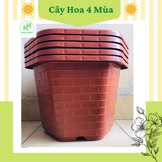 Chậu nhựa trồng cây lục giác fa350,fa380 màu đỏ gạch
