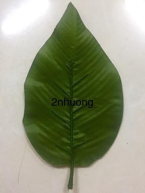 Lá nhựa giả lớn to có gân lỗ cắm