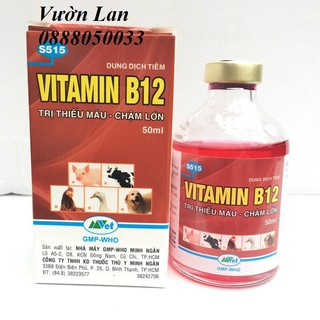 Combo 3 chai Vitamin B12 cho hoa lan, cây cảnh 50ml