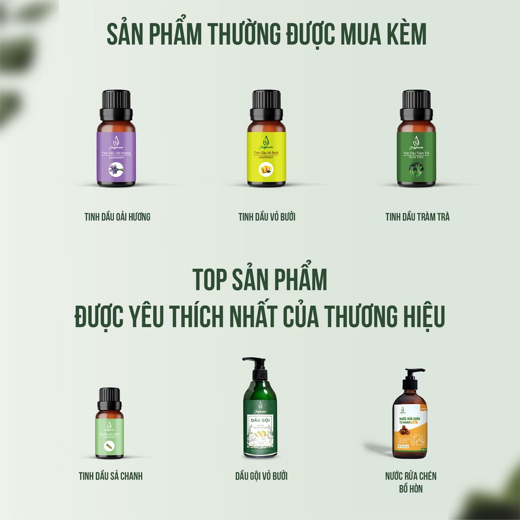 Dầu Oliu JULYHOUSE 50ml dưỡng ẩm da