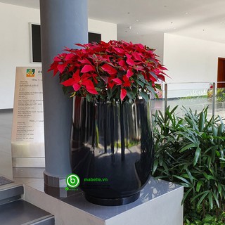 Chậu trồng cây composite cao cấp Ma Belle - 7133