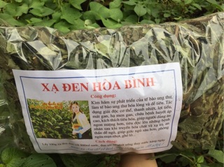 Xạ đen Hoà Bình 1kg (Nhiều lá)