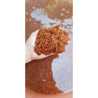 Cốm Gạo Lứt nhà làm (Không dầu mỡ) 500gr