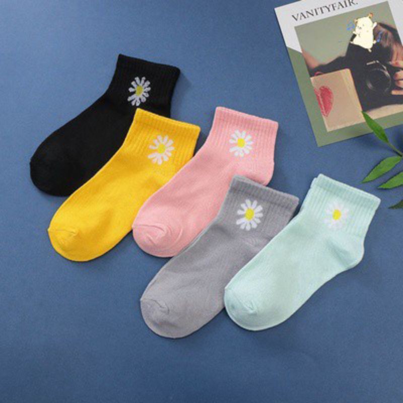 Combo 3 đôi Tất Hoa Cúc Cotton Cao Cấp