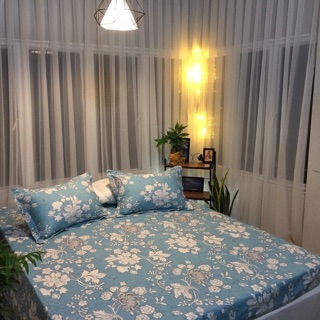 COTTON HÀN QUỐC - COTTON ALNENA