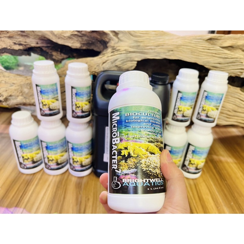 VI SINH MICROBACTER7- Brightwell Aquatics - Vi sinh khử N, P cực mạnh cho hồ nước ngọt và nước mặn