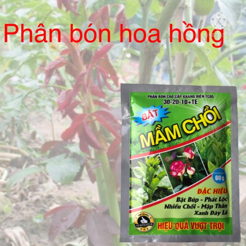 Phân bón NPK siêu bật lộc, bật chồi hoa hồng, hoa đào, hoa cúc, cây cảnh gói 60g