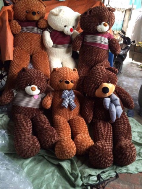 Gấu bông teddy 1m9, thú nhồi bông khổng lồ cỡ lớn