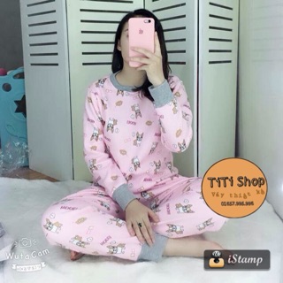 BỘ NGỦ NỈ BÔNG (combo khách)