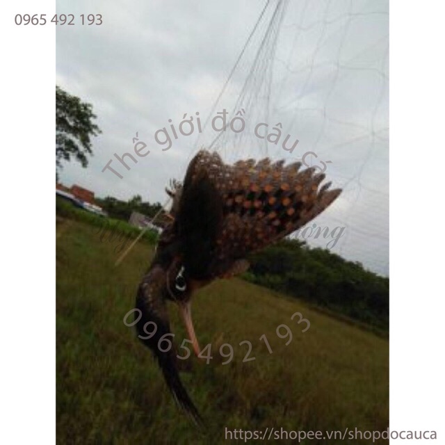 lưới bẫy chim 3cm cao 5m dài 50m hàng thái lan cao cấp mắt lưới 0,85mm