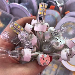 HOT-10 Đui đèn halogen