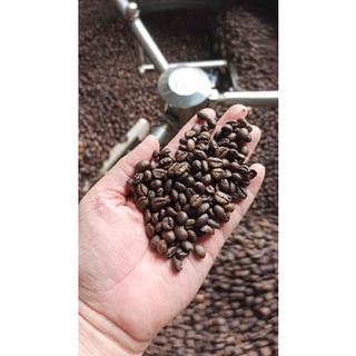 Cafe Hạt Robusta honey Espresso medium dark