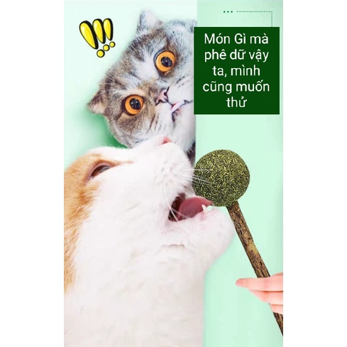 Đồ chơi kẹo mút que catnip - Cỏ bạc hà Giảm Căng thẳng - Sạch răng thơm miệng cho mèo