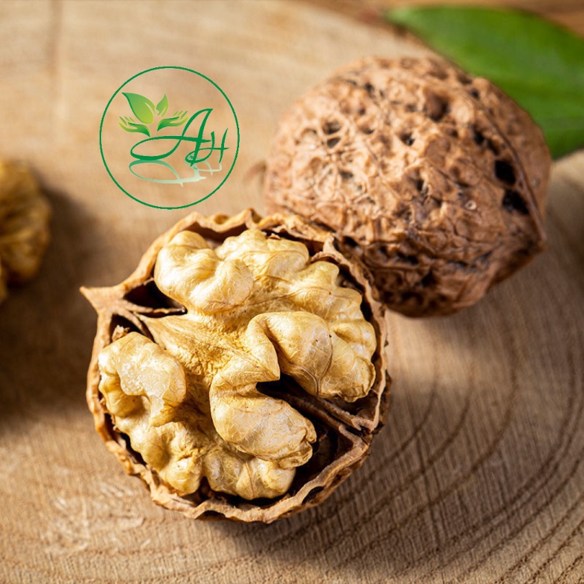 Quả óc chó nguyên vỏ 500G Không sợ hôi dầu Hạt dinh dưỡng - Đồ ăn vặt Healthy BeeNut