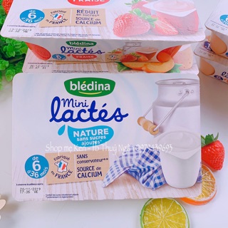 🍓SỮA CHUA BLEDINA PHÁP