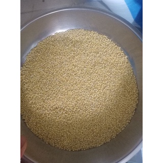 kê nếp vàng ,ngon.