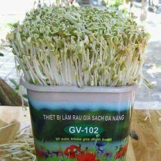 MÁY LÀM GIÁ ĐỖ SẠCH