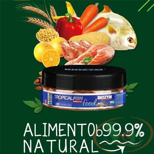 Thức Ăn Cá Viên Dán Biozym Tropical Fish Food Tablet Bd101